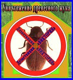 Дезостанция ВИКТОРИЯ.  Уничтожение древесного короеда жука в Алматы. Алматы