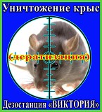 Дезостанция ВИКТОРИЯ.  Уничтожение крыс в  Алматы и области. Алматы
