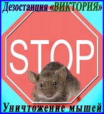 Дезостанция ВИКТОРИЯ.  Уничтожение мышей в Алматы и области. Алматы