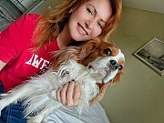 Передержка собак/кошек/зоопсихолог/выгул/дрессировка/зоотакси Актобе