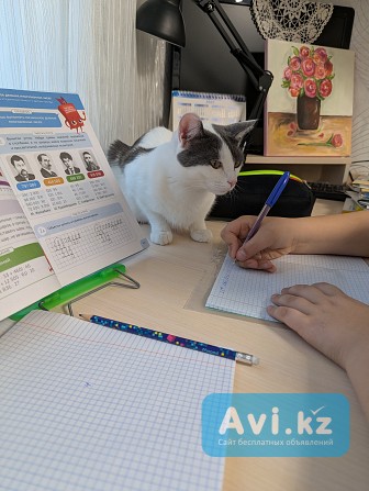 Репетитор 1-6 классы Рудный - изображение 1