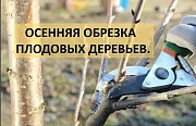 Зимняя обрезка плодовых деревьев Алматы