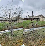 Зимняя обрезка плодовых деревьев Алматы