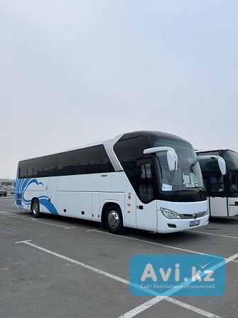 Аренда автобуса Yutong 53 места | Алматы Алматы - изображение 1