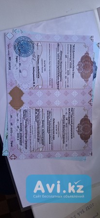Диплом. Казахстан. Высшее. Средне-специальное, магистратура Алматы - изображение 1
