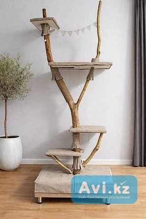 Когтеточка из натурального дерева Алматы - изображение 1