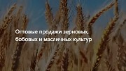 Ооо Агропром - оптовая реализация продуктов питания экспорт Астана