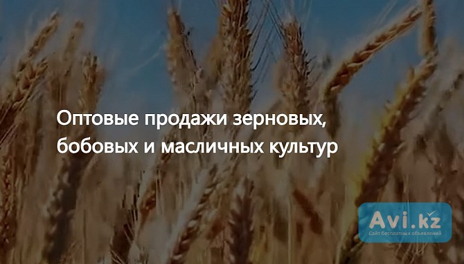 Ооо Агропром - оптовая реализация продуктов питания экспорт Астана - изображение 1