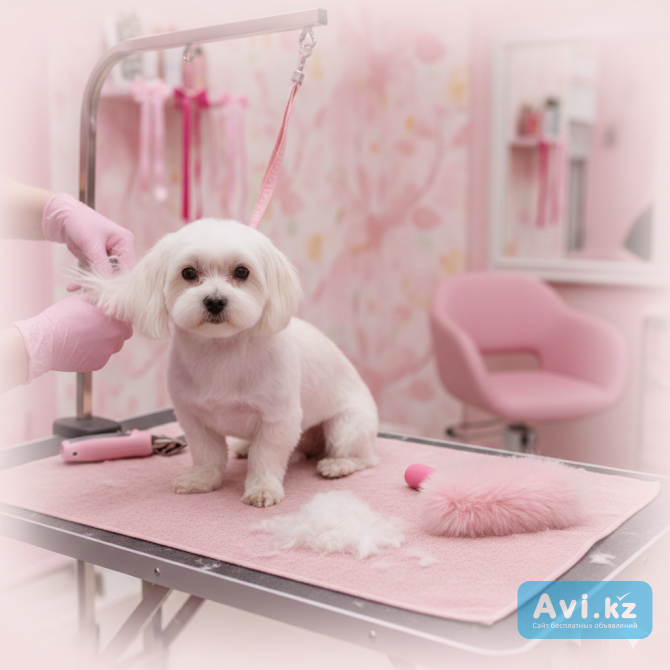 Груминг — Бережный уход. Стрижка собак и кошек в Щучинске Щучинск - изображение 1