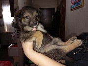 Забери меня к себе, Добрый человек Алматы