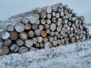 Лесоматериалы За границей