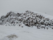 Лесоматериалы За границей