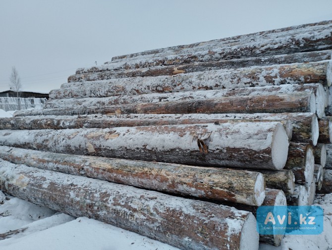 Лесоматериалы За границей - изображение 1