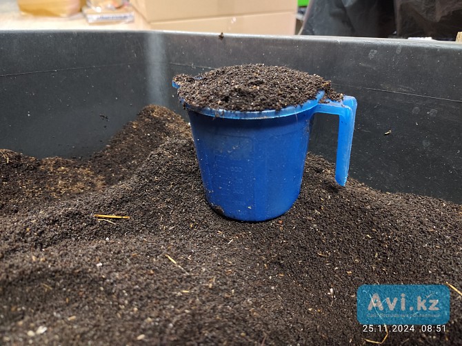 Продам верма гумус Петропавловск - изображение 1