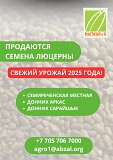 Уважаемые аграрии!  В продаже рис Кызылорда