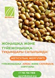 Уважаемые аграрии!  В продаже рис Кызылорда