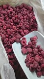 Свежезамороженная малина оптом по Казахстану Талдыкорган