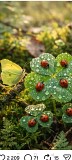 Милая Масажистка Для Мужчин Алматы