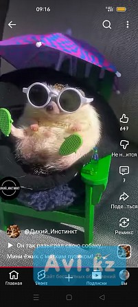 Добрая Милая Девушка Сделает Самый Лучший Массаж Алматы - изображение 1