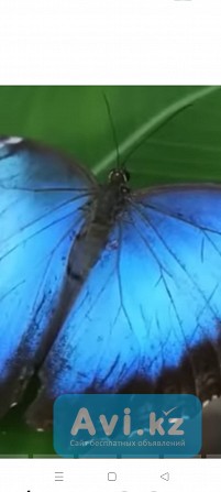 Хороший Массаж Алматы - изображение 1