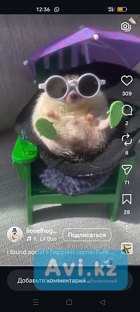 Хороший Массаж Расслабление Лёгкость Алматы - изображение 1