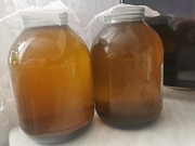 Свежевыжитое масло подсолнуха Астана