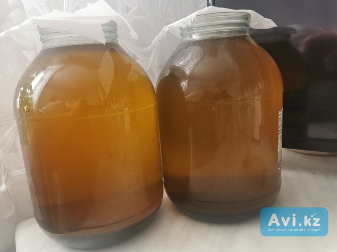 Свежевыжитое масло подсолнуха Астана - изображение 1