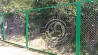 Заборы и ограждения из сетки Рабицы