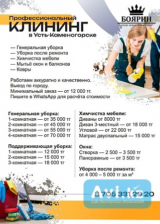 Профессиональный клининг Усть-Каменогорск - изображение 1
