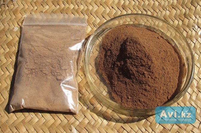 Мускус Бобра Алматы - изображение 1