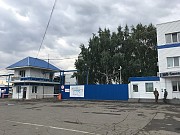 Высококачественное подсолнечное масло оптом от производителя Астана