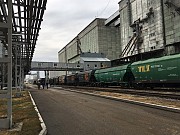 Высококачественное подсолнечное масло оптом от производителя Астана