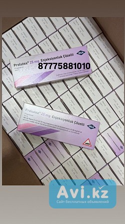 Пролютекс Астана - изображение 1