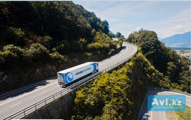Водитель C+e - стабильная компания | рейсы по Европе Алматы - изображение 1