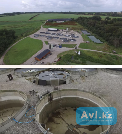 Форелевая ферма, технология Ras, Рига, Латвия Алматы - изображение 1