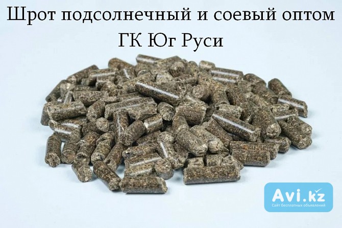 Шрот подсолнечный и соевый оптом - ГК Юг Руси Астана - изображение 1