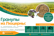 Гранулы из люцерны Алматы