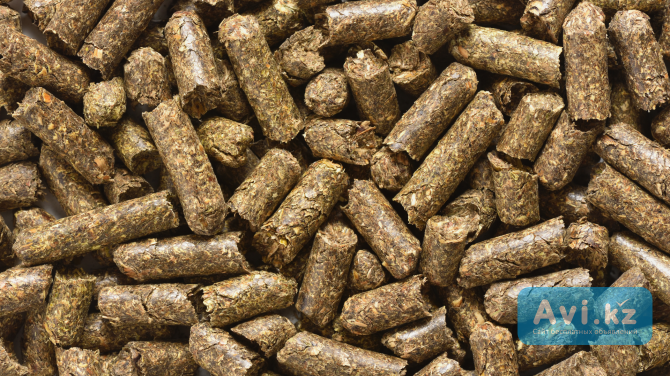 Гранулы из люцерны Алматы - изображение 1