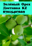 Зеленый орех зелёные грецкие орехи зеленый орех алматы орех грецкий зеленый зеленый орех доставка Алматы