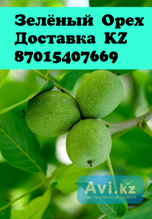 Зеленый орех зелёные грецкие орехи зеленый орех алматы орех грецкий зеленый зеленый орех доставка Алматы - изображение 1