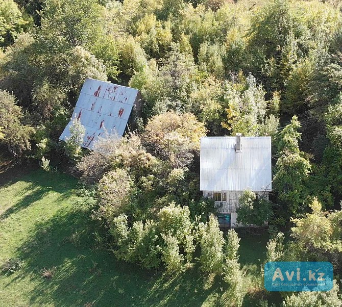 Легальный дом с фруктовым садом на территории национального парка Дурмитор, Черногория Алматы - изображение 1