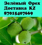 Зеленый орех караганда зелёные грецкие орехи караганда зеленый орех настойка зелёный орех доставка Караганда