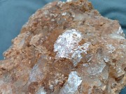 Коллекционный Эвапорит (минерал) 27х18х5 см Алматы