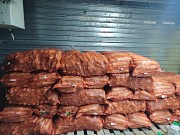 Продажа сладкой кукурузы Астана