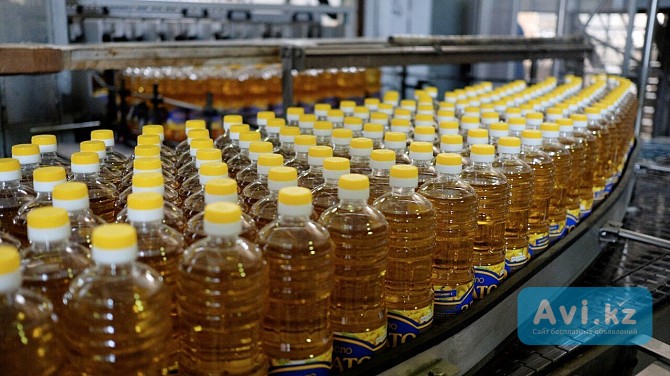 Масло подсолнечное оптом - ГК Юг Руси Астана - изображение 1