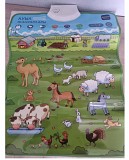 Ауыл жануарлары қазақша аудио плакат Актобе