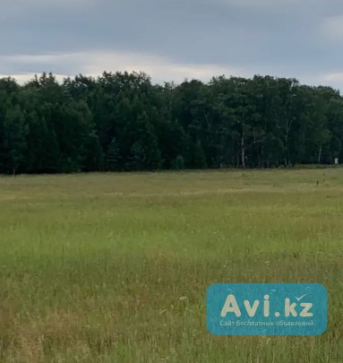 Продам землю под строительство Щучинск - изображение 1