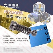 Fuel Injection Pump Plunger 1p6400 Алматы