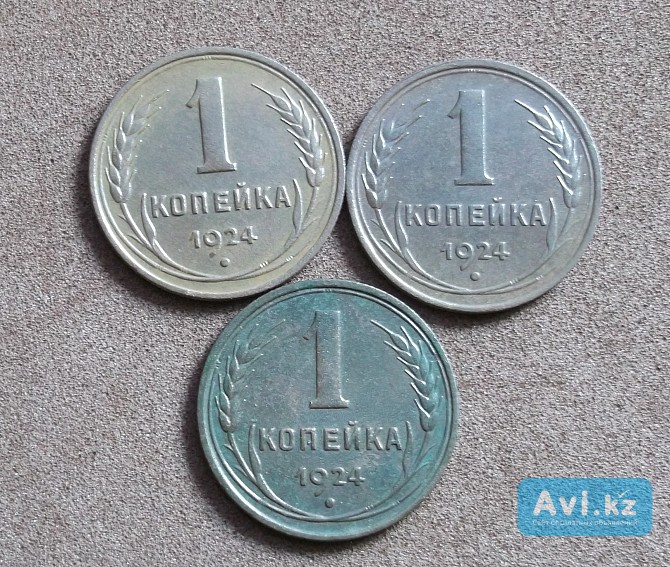 1 копейка 1924 Петропавловск - изображение 1
