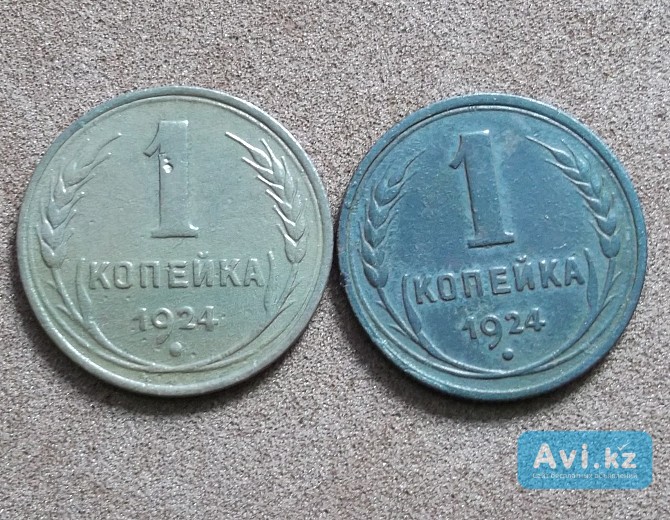 1 копейка 1924 Петропавловск - изображение 1